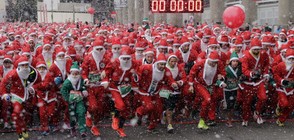 Хиляди Дядо Коледовци тичаха в Мадрид