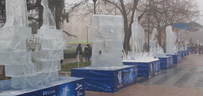 Майстори от 8 държави ваят ледени фигури в Русе