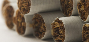 Цигари за над 5 млн. лв. заловиха на Свиленград