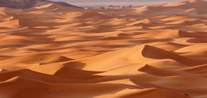 Сняг заваля в Сахара (ВИДЕО+СНИМКИ)