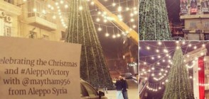 В Алепо украсиха коледна елха (ВИДЕО+СНИМКИ)
