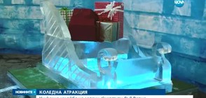 Уникална изложба на ледени скулптури във Варна (ВИДЕО)