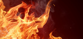 Пожар избухна в жилищен блок в София (СНИМКА)