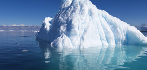 Температурите на Северния полюс с рекорд за Коледа