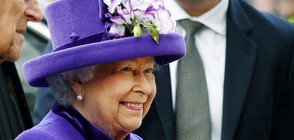 Кралица Елизабет говори в коледното си послание за смисъла на малките добрини