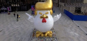 Петел, приличащ на Тръмп, краси китайски мол (СНИМКИ)