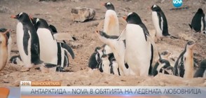 РАВНОСМЕТКАТА: NOVA в обятията на Антарктида