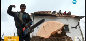 "Пълен абсурд”: "Майстори" разбиха покрив на къща, докато режат дърво
