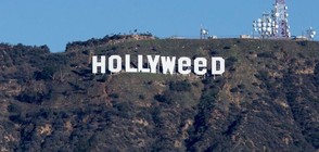 Надписът над Холивуд стана "Hollyweed" (ВИДЕО + СНИМКИ)