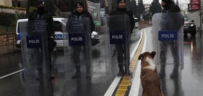 Мащабно издирване на извършителя на кървавия атентат в Турция