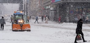 Силна снежна буря в Германия и Полша (ВИДЕО+СНИМКИ)