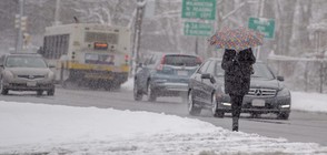 Жестока снежна буря в САЩ