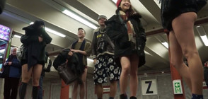 Стотици пътуваха по бельо в метрото на европейски столици (ВИДЕО)
