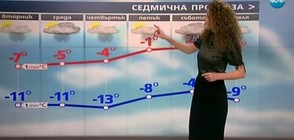 Прогноза за времето (10.01.2017 - обедна)