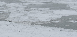 ДУНАВ В ЛЕД: 90% от водата край Силистра замръзна