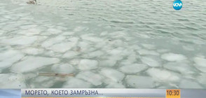 Морето край Бургас замръзна (ВИДЕО+СНИМКИ)