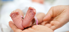 В Киев се роди бебе от трима родители, заченато ин витро
