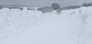 Две села във Варненско откъснати от света заради снега