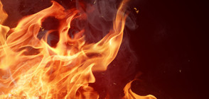 Взрив в турска фабрика, има пострадали