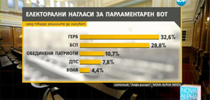 Ако предсрочният вот беше днес: ГЕРБ – 32,6%, БСП – 28,8%
