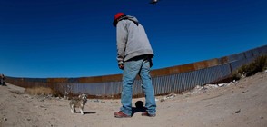 САЩ и Мексико преустановяват публичните изявления относно граничната стена