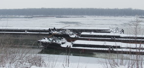 Десетки кораби - в плен на леда по река Дунав