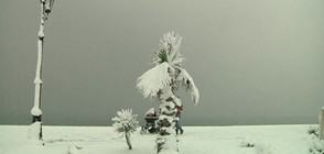 РЯДКО ЯВЛЕНИЕ: Сняг затрупа руския град Сочи (ВИДЕО)