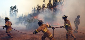 В Чили продължава борбата с горските пожари (ВИДЕО+СНИМКИ)