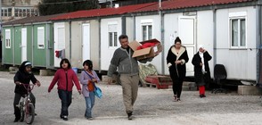 ООН помогнала на близо 100 000 мигранти да се върнат у дома
