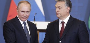 Путин и Орбан: Проблемите в Сирия трябва да се решават по политически път