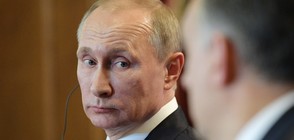 Путин за "Южен поток": Не се обиждаме на България