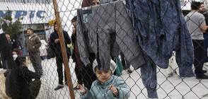 Повечето европейци искат забрана за миграцията от мюсюлмански държави