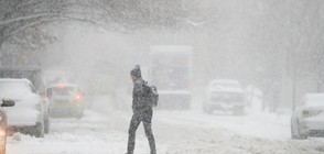 Снежна буря затвори централата на ООН и училища в Ню Йорк (СНИМКИ)