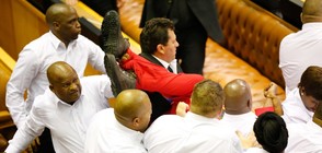 Бой и хаос в парламента на Южна Африка (ВИДЕО+СНИМКИ)