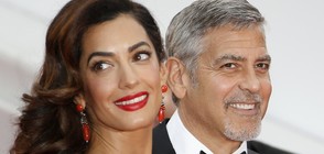 Потвърдено: Джордж и Амал Клуни чакат близнаци (ВИДЕО+СНИМКИ)