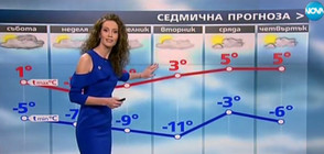 Прогноза за времето (10.02.2017 - централна)