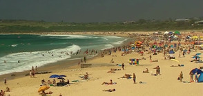 Опасни температури в Австралия