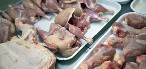Спряха контрабанда на над 20 тона пилешко месо
