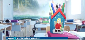 Училище в Пловдив се превърна в приказен свят (ВИДЕО)