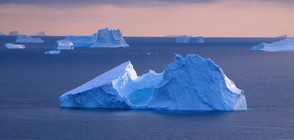 В Темата на NOVA на 26 февруари: Антарктика отблизо