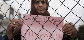 "Галъп": Българите "за" забрана граждани на мюсюлмански страни да влизат у нас