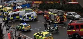 Кола прегази петима пешеходци в Лондон