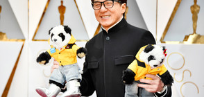 Джеки Чан пристигна на червения килим... с плюшени панди (СНИМКИ)