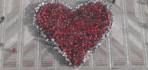 Жива мартеница под формата на сърце във Видин (СНИМКИ)