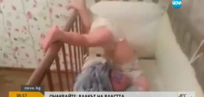 ДА СКЪСАШ ОКОВИТЕ: Бебе бяга от кошарата си (ВИДЕО)