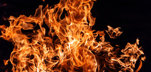 Възрастен мъж загина при пожар в Пловдив