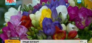 ПРЕДИ 8 МАРТ: Как да изберем най-подходящите цветя?