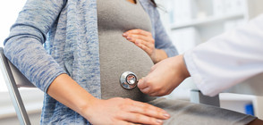 Кои са най-плодовитите жени в Европа?