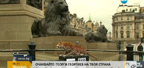 Леопард робот в центъра на Лондон (ВИДЕО)