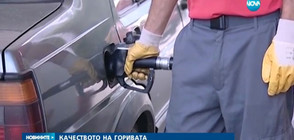 КАЧЕСТВОТО НА ГОРИВАТА: 30% от дизела и бензина се продават незаконно